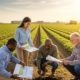 Agricultural lands as a form of alternative investment - profitable farmland investment