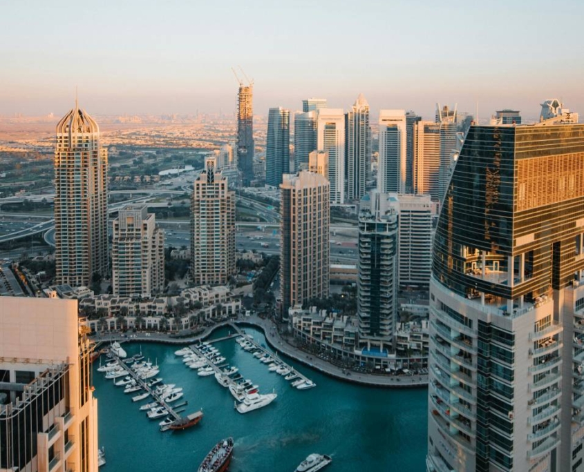 Nobilior wealth management professionals engaged in continuous learning, a key benefit of joining the firm in the UAE.
